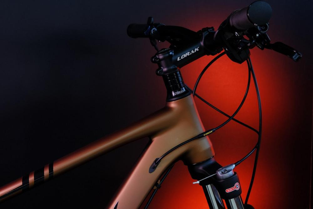 LORAK Sel 9750 SE Матовый Коричневый 19р (на рост 171-182)