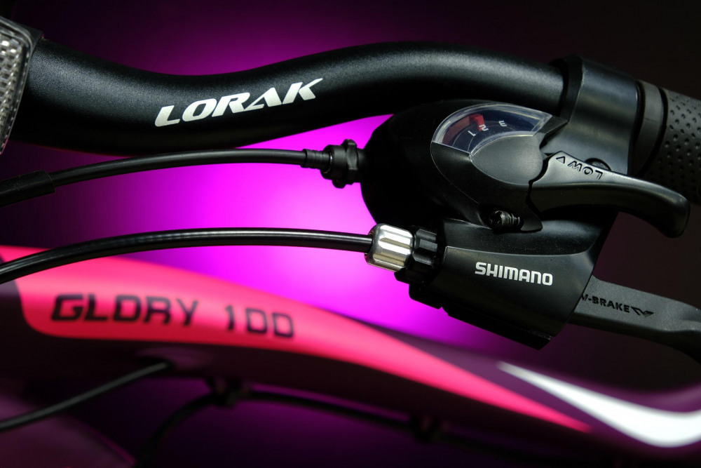 Lorak Glory 100 Матовый Фиолетовый/Розовый рама 17 (на рост 155-173)