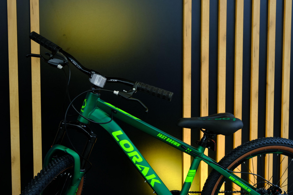 LORAK Fast Brown 24 Матовый Зелёный